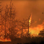 ippc-report-explained-impacts-adaptation-and-vulnerability