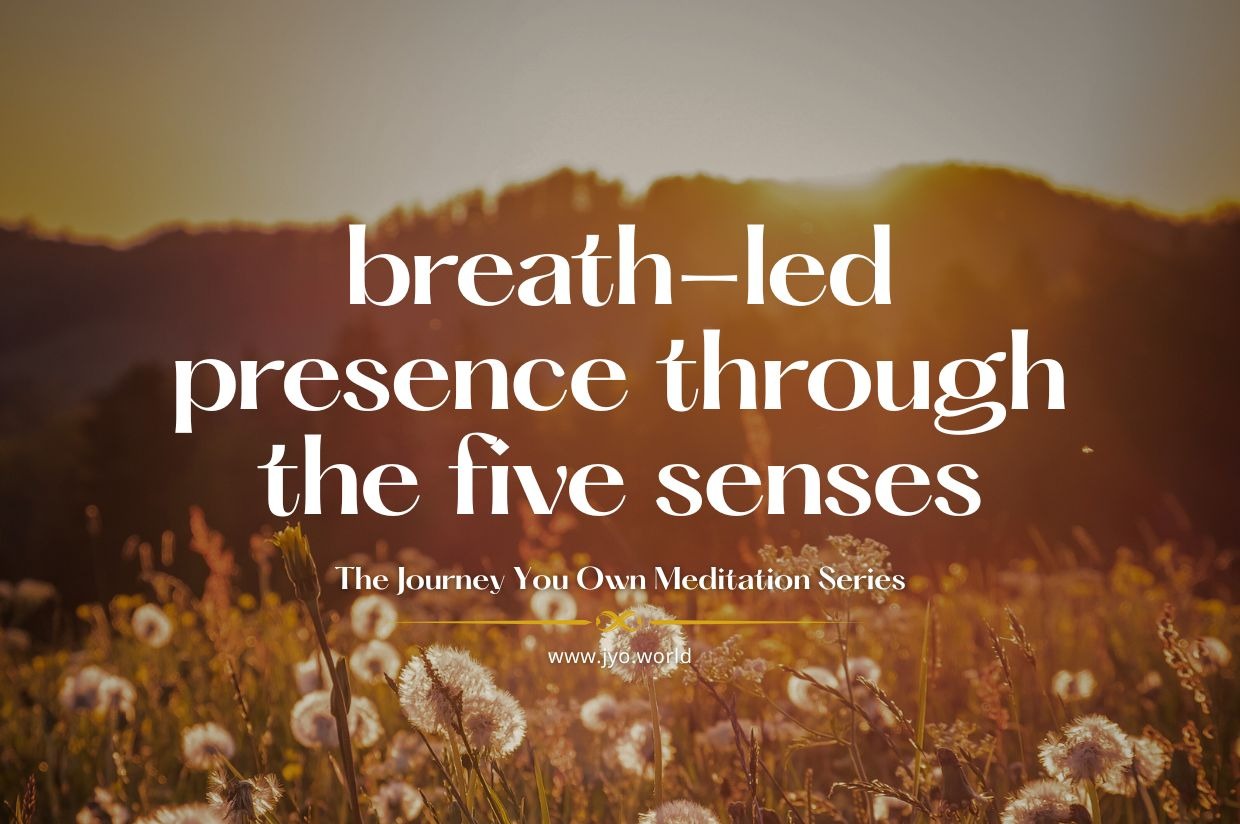 five senses meditation