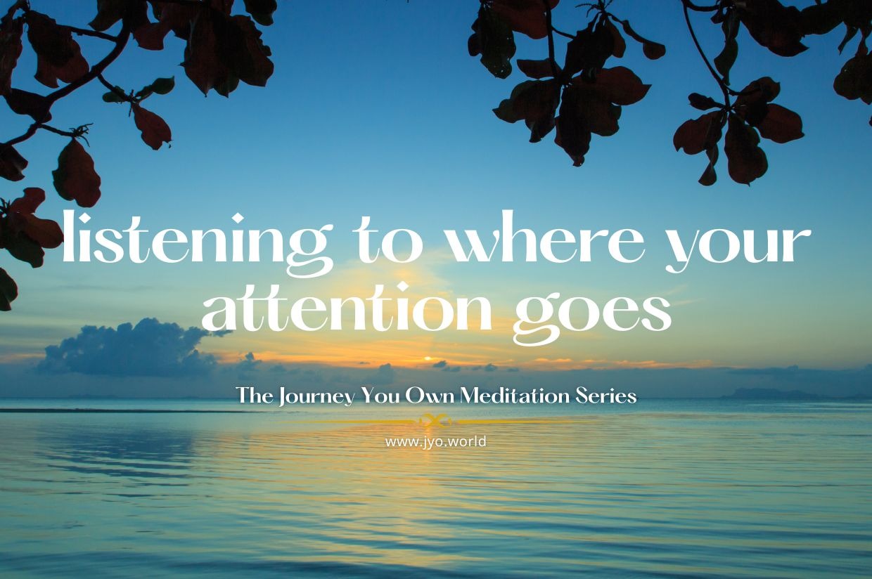 mindful attention meditation